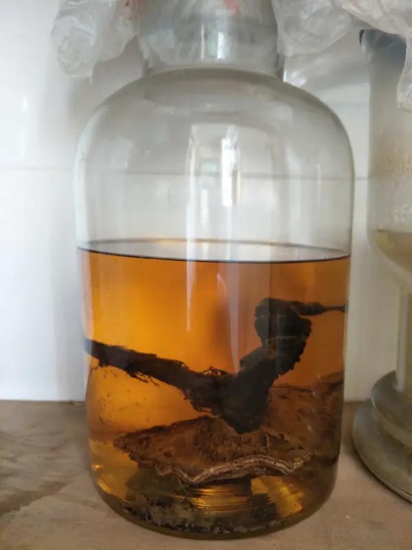 1月14日，四川达州一开挖掘机的大哥，修路时挖出个大坑，嘿，里面竟全是黑乎乎的玩