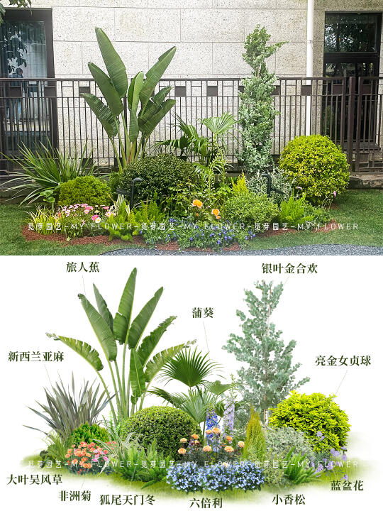 低维护落地案例清单｜长效持续花境植物搭配