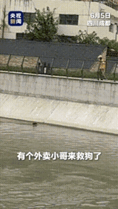 成都外卖小哥河边甩出一根软水管，接下来金毛的反应，真的惊艳到了我了。​一击即中