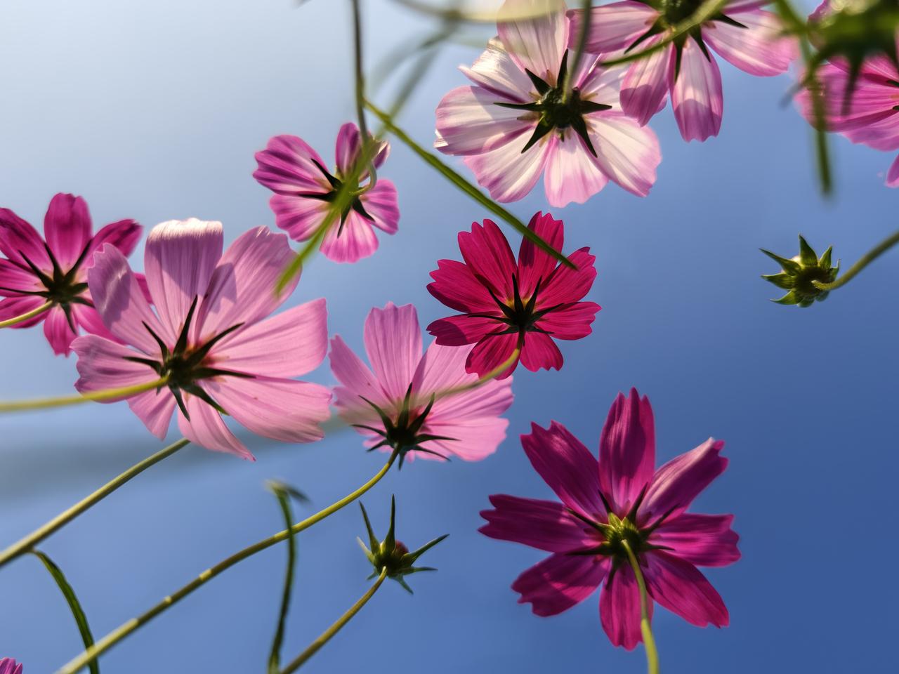 文王拘而演周易《易经》，又称为《易》，包括《连山》《归藏》《周易》三部易书，