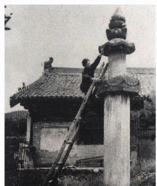 🌞2002年，杨澜在采访中，指着林徽因的一张照片问梁从诫：“你母亲踩着高跟