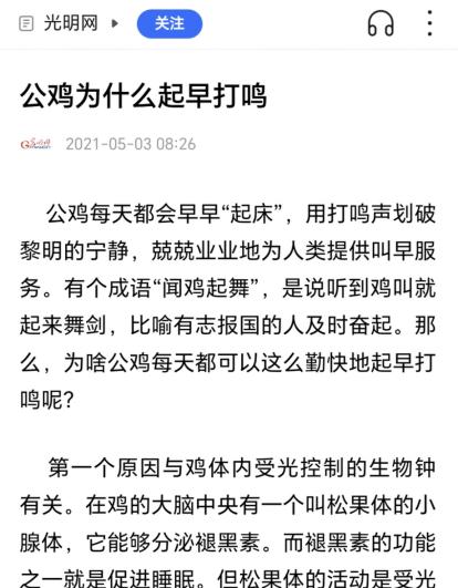 每天清晨天刚蒙蒙亮，村里的公鸡就准时扯开嗓子叫，几十年如一日。你可能以为这是