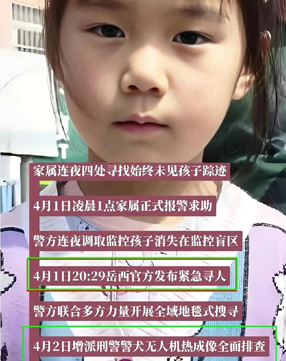 安徽6岁女童失踪第5天!采访者透露：家里四个孩子，女孩是双胞胎。4月2日增派刑警