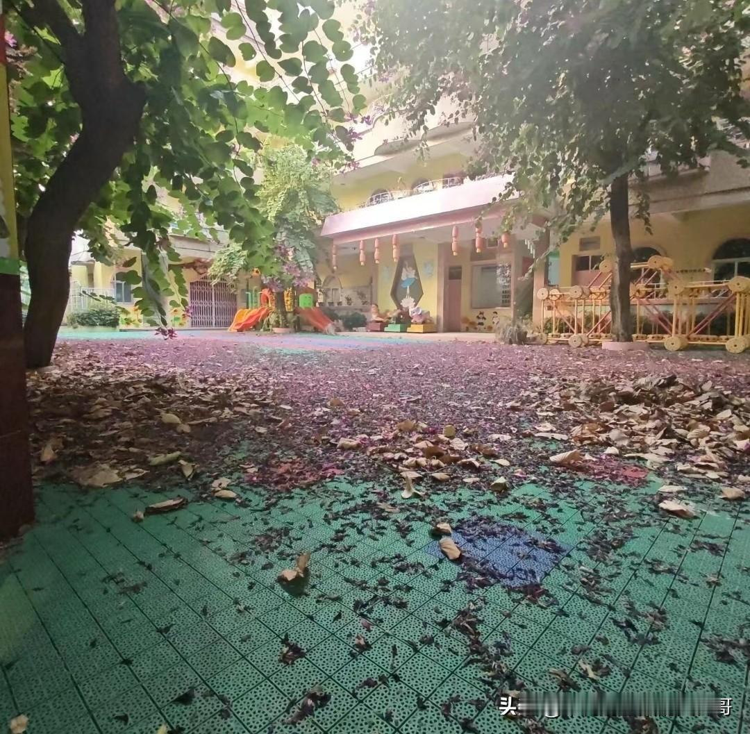 低生育率的影响开始显现，首先就是各类幼儿园、保幼托管等，中大型城市还好点，人口密