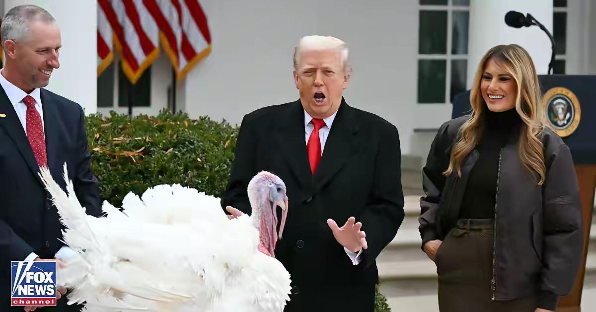 在11月25日的白宫感恩节火鸡赦免仪式上，特朗普延续其标志性的政治幽默，将一场传