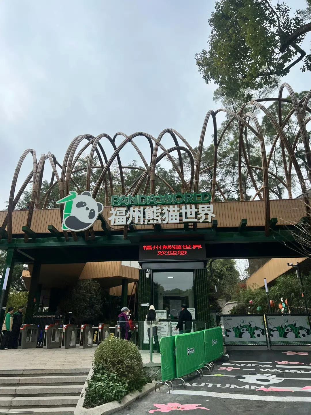 【福州熊猫世界】萌力全开！走进福州熊猫世界，看圆滚滚的国宝们自在玩耍，软乎乎