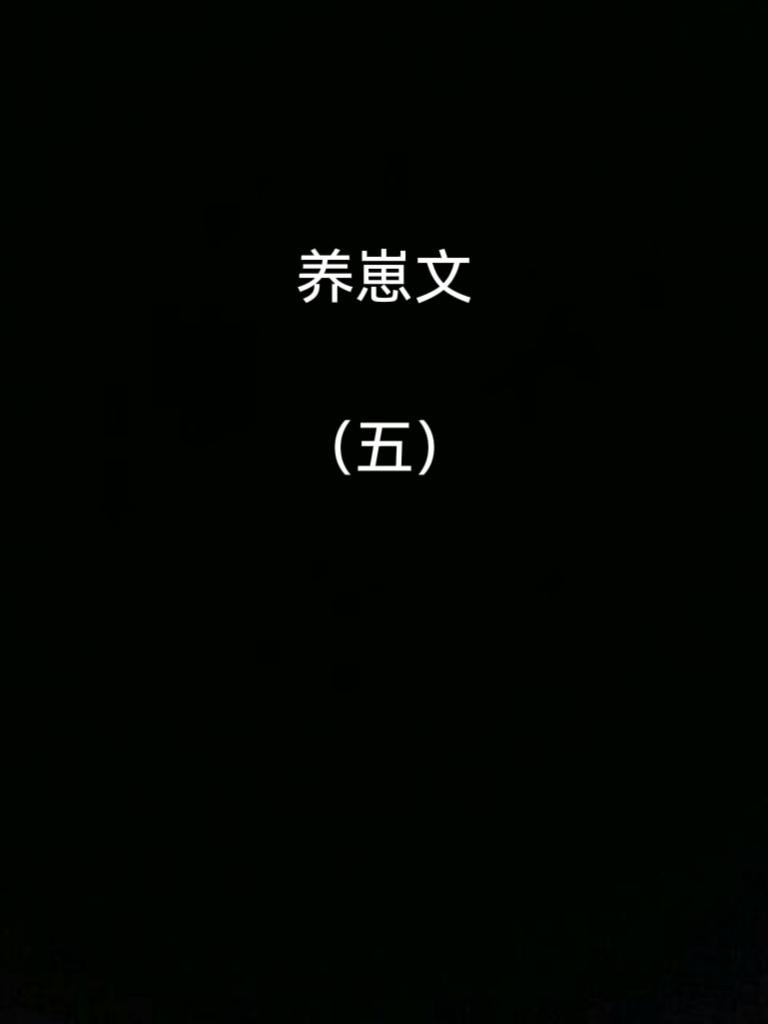 四本养崽文。小说推荐宝藏小说