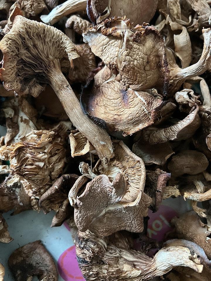 人到中年，变得不爱社交，不合群，不是社恐，也不是孤僻，只是终于活明白了—