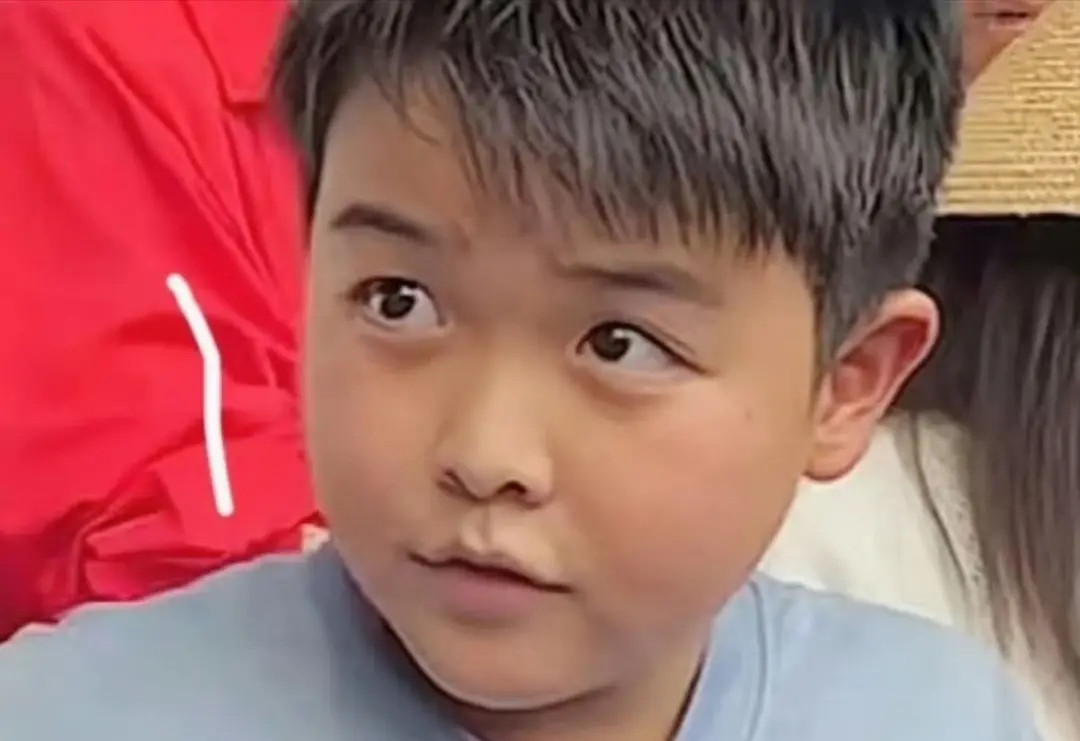 不都说儿子像妈吗？这跟佟丽娅一点都不像，简直是翻版的陈思成