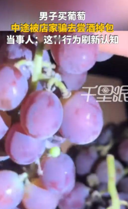 河南洛阳，男子开车30多公里去葡萄园采摘，摘完后老板主动打包，老板娘则热情拉客去