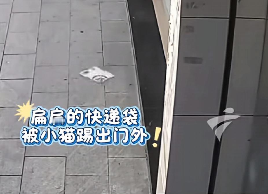 无奈又好笑！12月17日，广东佛山的朱女士发现刚刚显示签收的快递竟然“离奇消失”