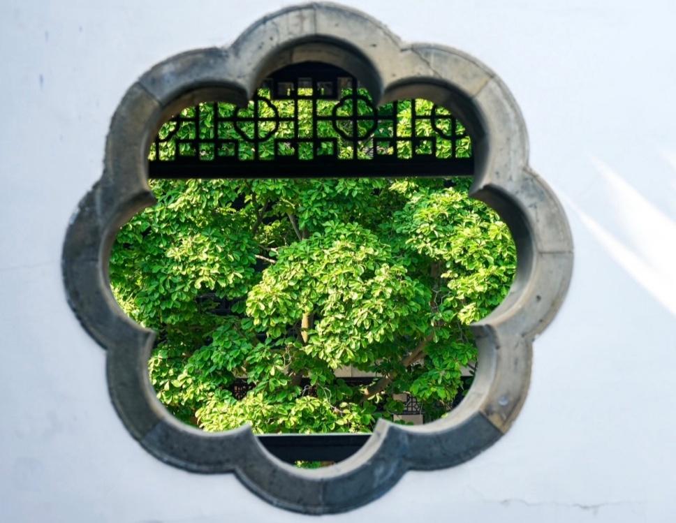 何园的窗，太美了！