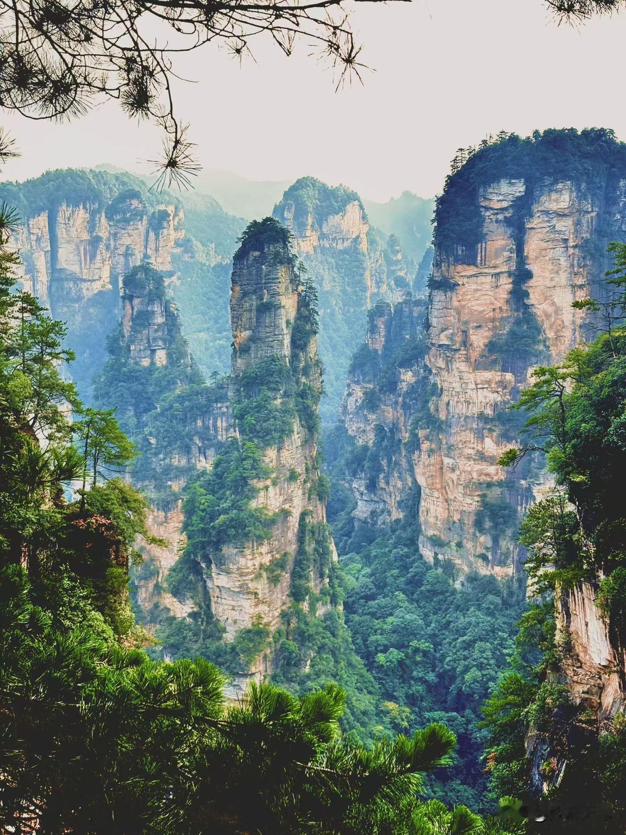 男子退休当天，早上办完手续，中午就让儿子开车接自己回家了，没有欢送仪式，也没有任
