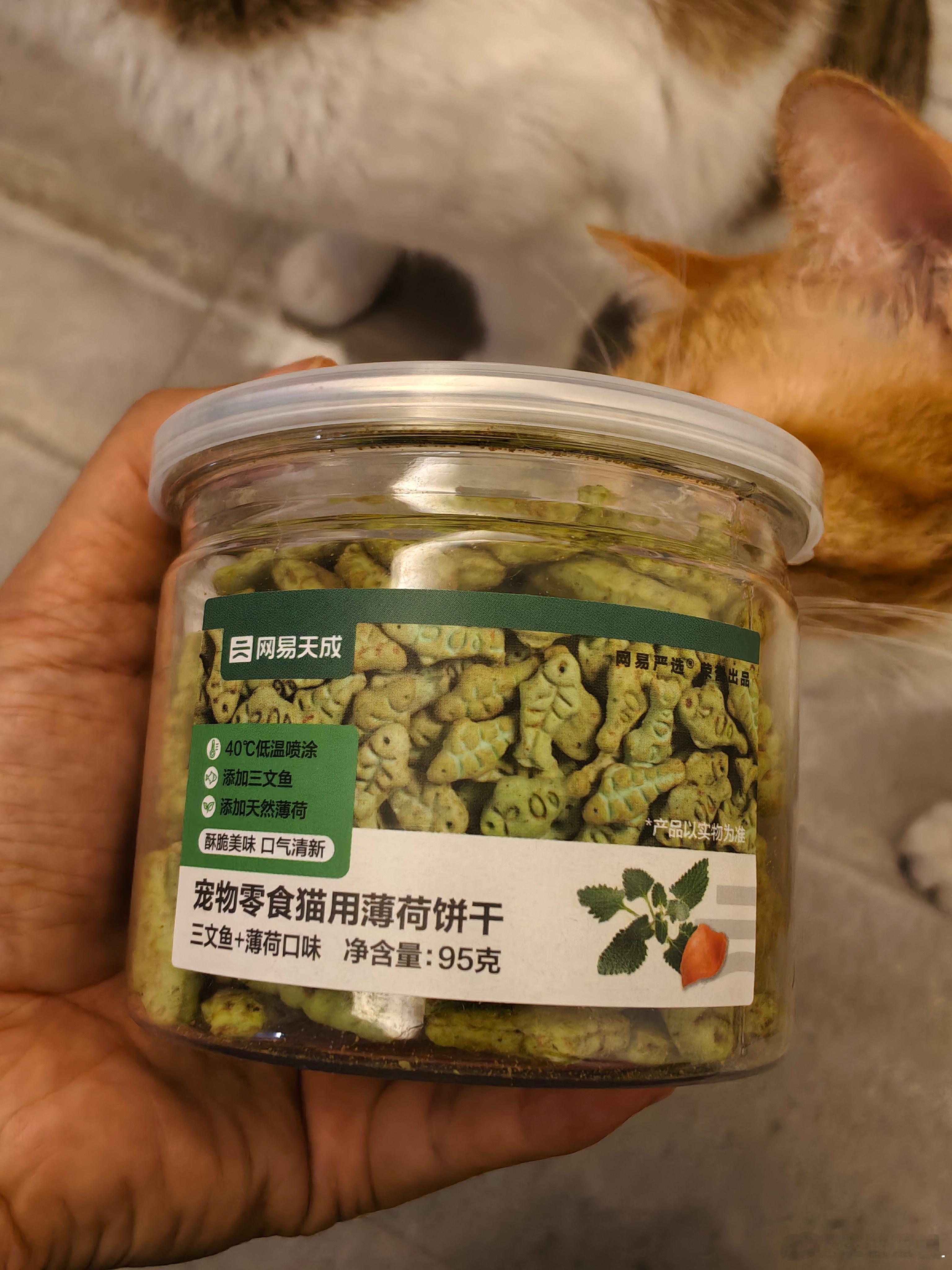 刚发现经常给猫吃的宠物饼干配料表第二位居然是糖，宠物能吃糖吗？