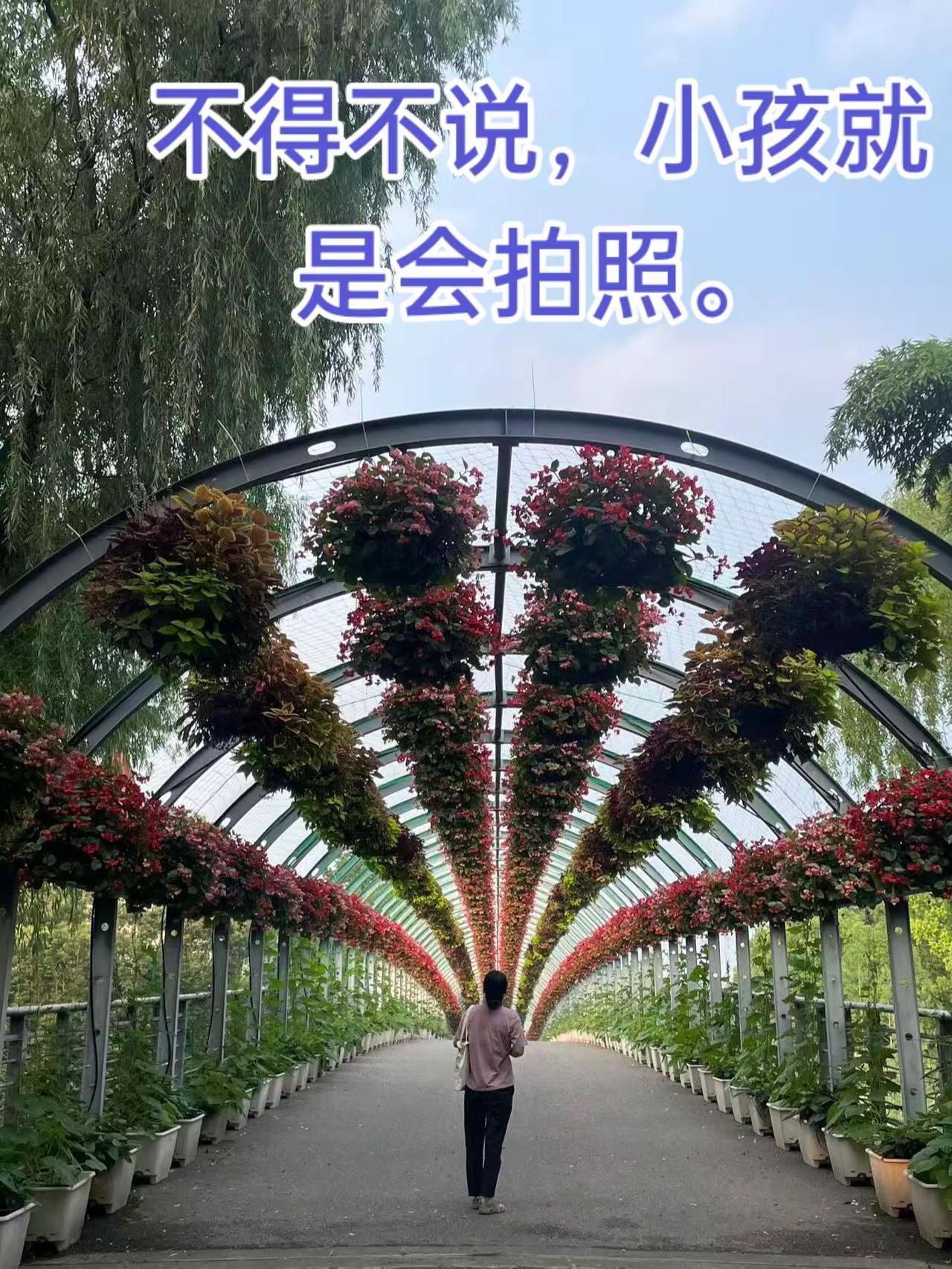你看，是不是拍得很好。乖宝当摄影师。