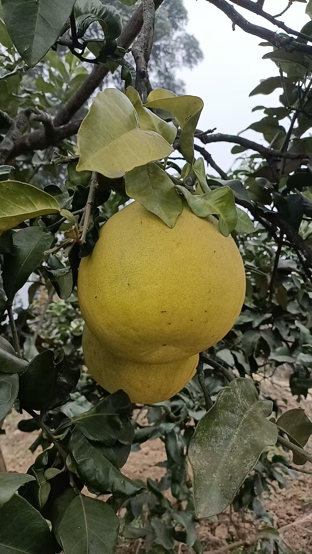 我的2025年度总结冬天也是丰收的季节！