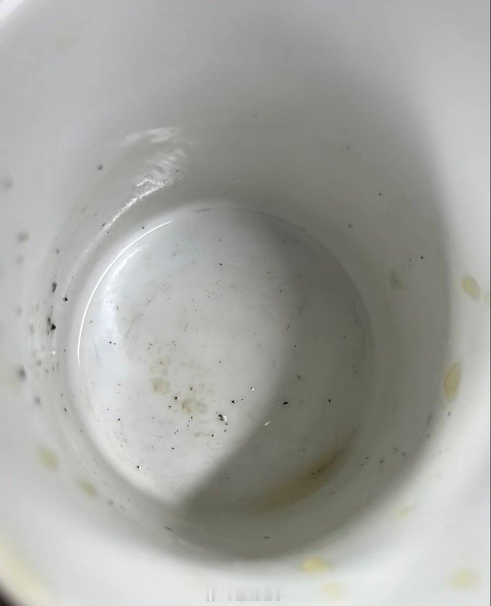 杯子被老板拿去当烟灰缸