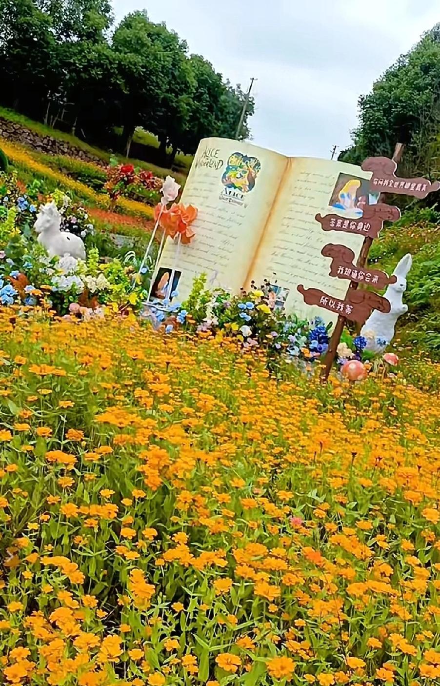 周末出逃宜宾龙头山花湖田园，在花海与萌熊的童话世界里治愈一整个秋天周末别宅