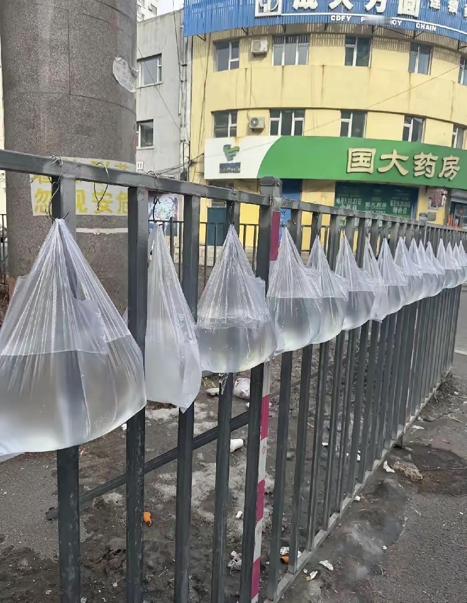 走在吉林街头，发现栏杆上挂了一堆塑料袋，全冻成冰疙瘩，我一开始还以为是啥冻菜呢，