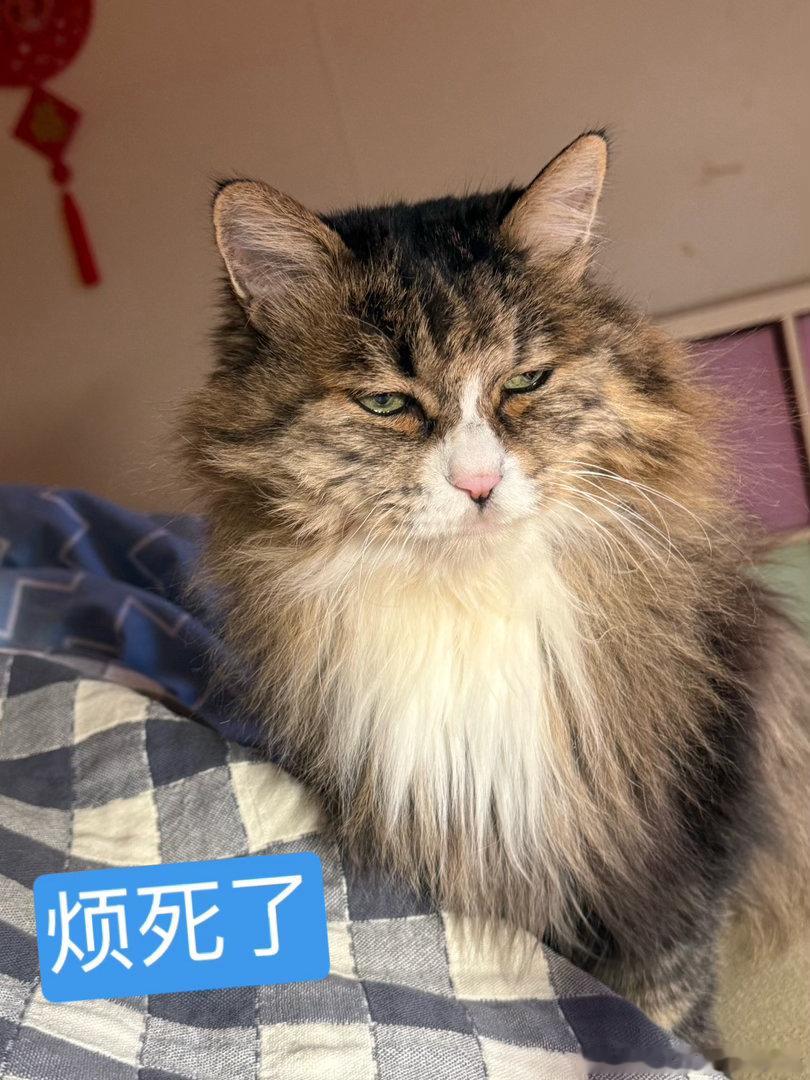 好事多磨吧，刚才那个独享的顺风车打电话过来说让我承担来回的高速费，也就是466的