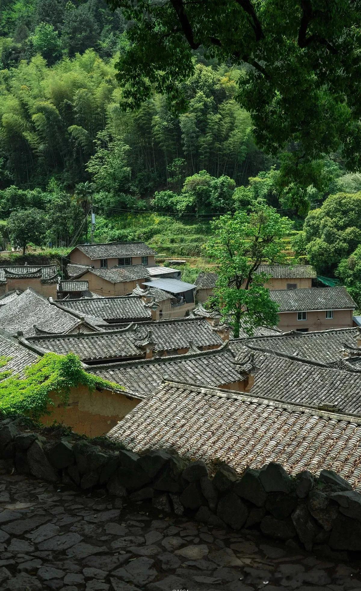 岁月漫漫，不盼他人懂悲欢，不候他人暖心寒岁月沧桑，从来都是独自渡风雨，人间