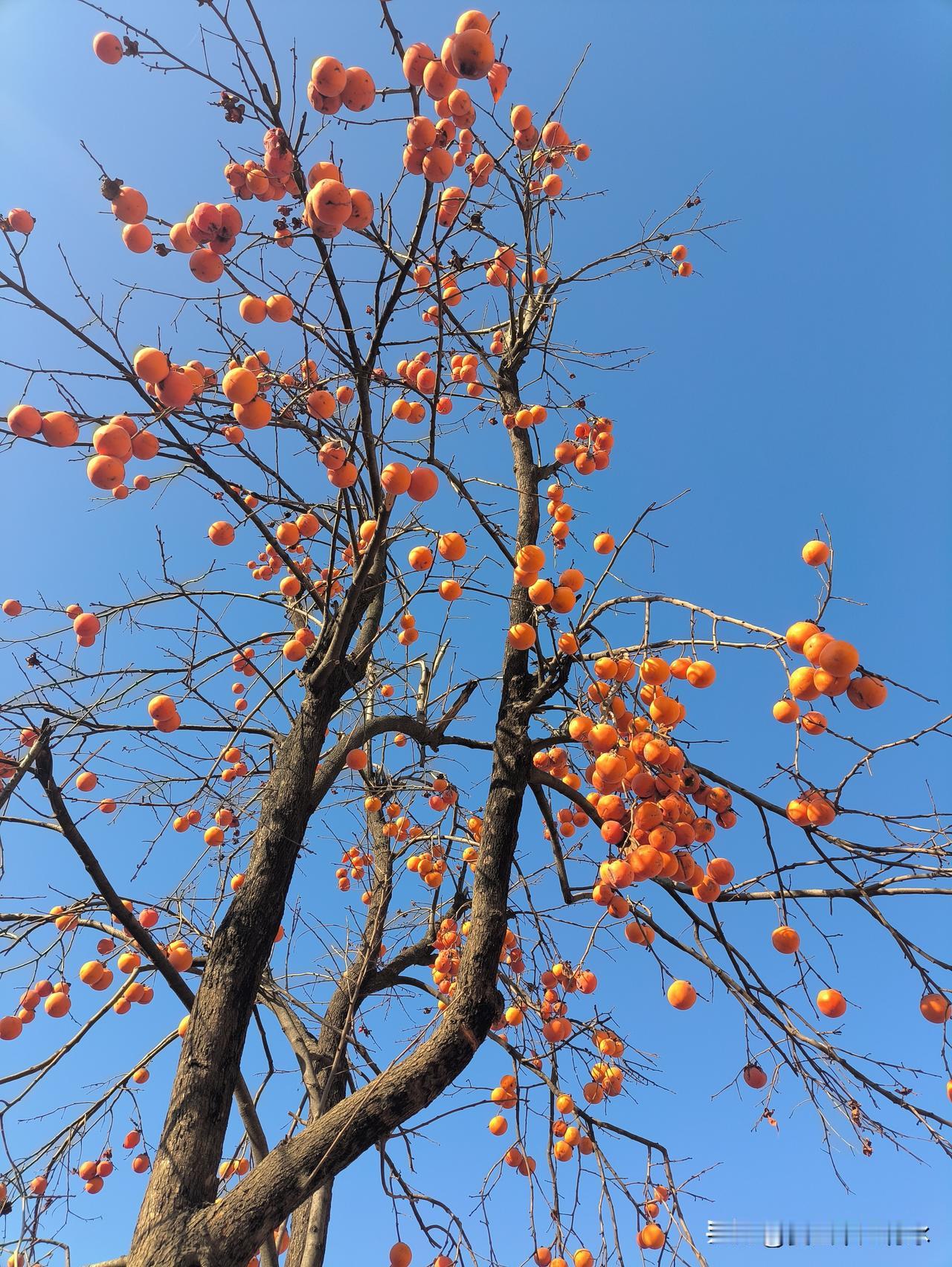 中医有云：“气为百病之始”。经常生气，势必会疾病缠身。不论男女，只要常常生气