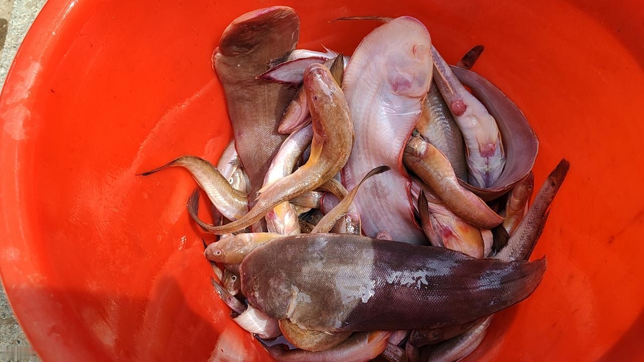 赤甲红螃蟹，油炸后再炒，非常鲜美。在岸边还有渔民开着小船卖海鲜，有爬爬虾，狗杠鱼