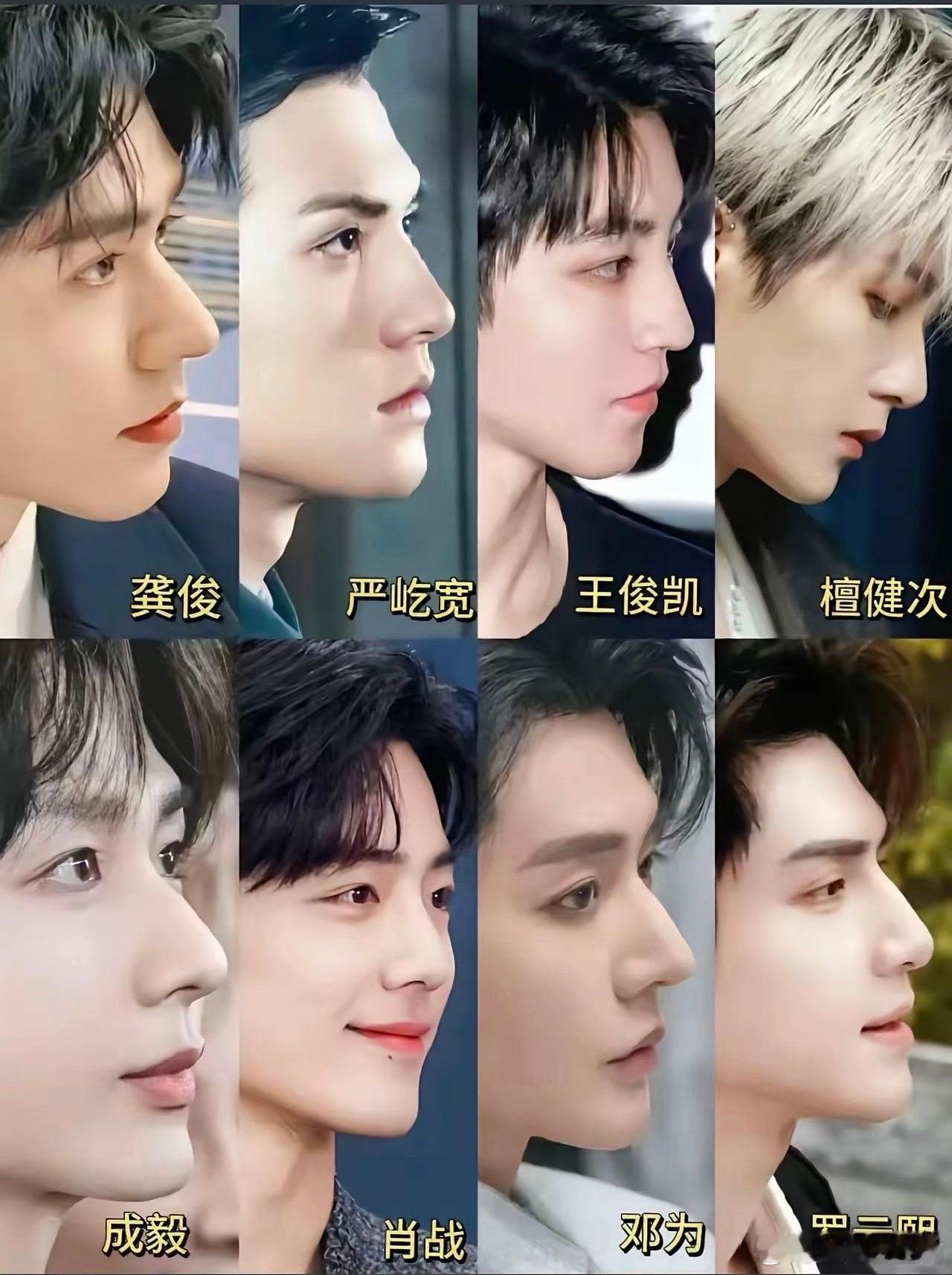 内娱男明星的侧颜真的很卷！眉弓、鼻子、下颚线都要很优越呀！你们觉得谁的侧颜最好看