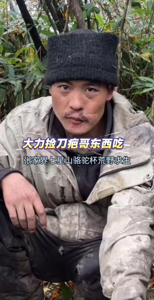 炸穿全网！荒野刀疤哥凭啥圈粉无数？谁能想到，一个脸带刀疤、揣着300块手机的