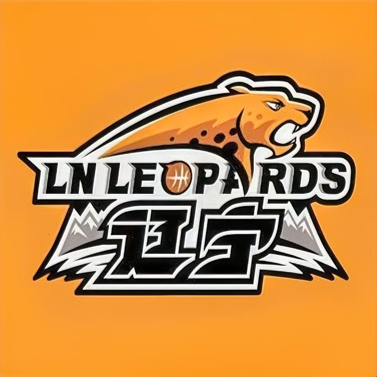 辽宁男篮又签外援，是一名打后卫的球员。回想当年，辽宁男篮的后卫线上，真是人才扎