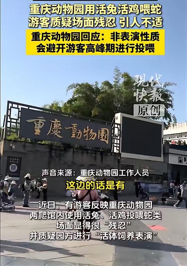 重庆，一位游客带着孩子前去重庆动物园打卡，却在两栖爬行动物馆内，亲眼目睹了令自己