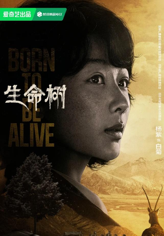 白玉兰依旧偏爱杨紫！23年的《长相思》，一部纯古偶，给了视后提名，24年一部伪