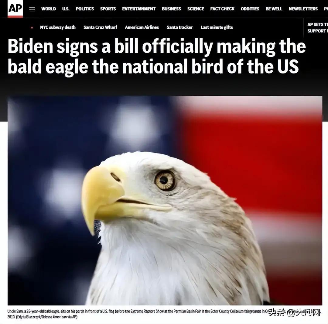 美国确实和英国、西班牙、葡萄牙那种老派殖民帝国不完全一样。西班牙：抢黄金、灭帝