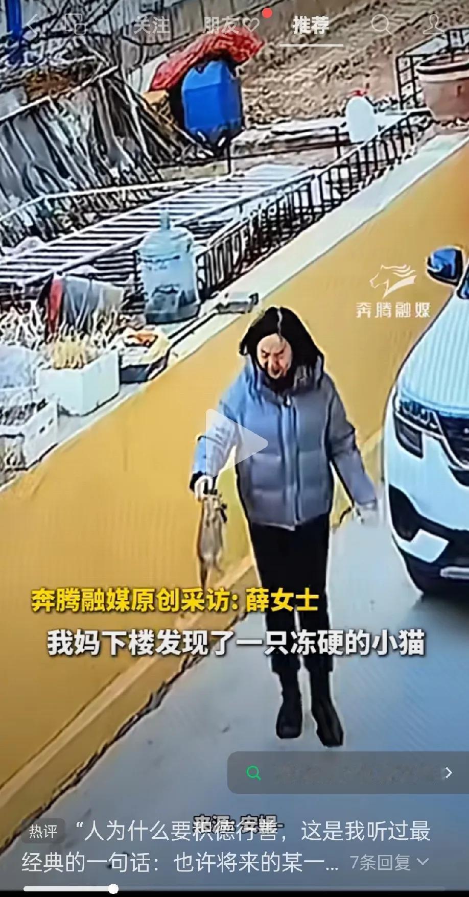 太幸运了！内蒙古乌兰察布，女子下楼突然发现一只冻硬的小猫。她把小猫带回家，先放暖