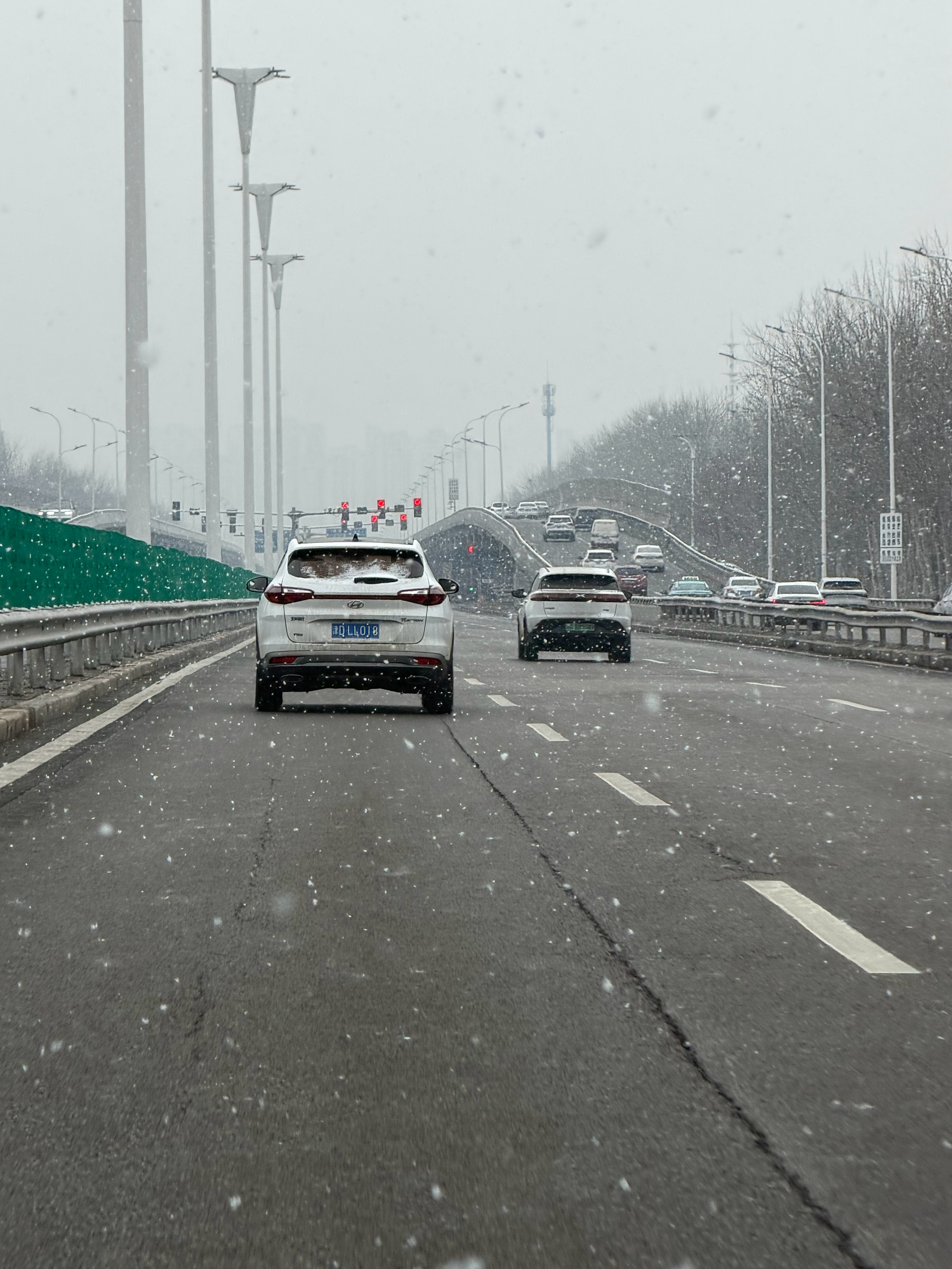 嚯！这大雪，好爽啊，又下大了这个天气开烈马猛禽一定很有安全感吧天津·泰丰公园