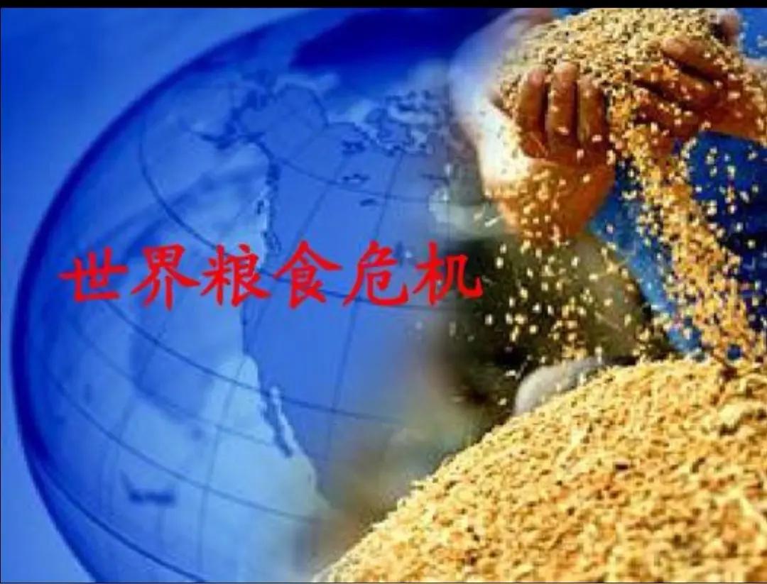 全球粮食危机来袭，西方反倒指责我国囤粮，双标本质藏不住霍尔木兹海峡短暂开放