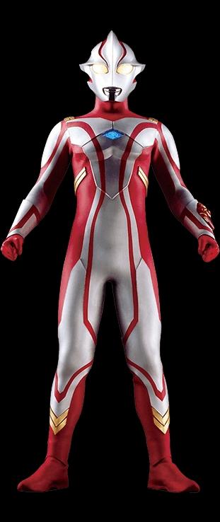 能叫出什么名字？