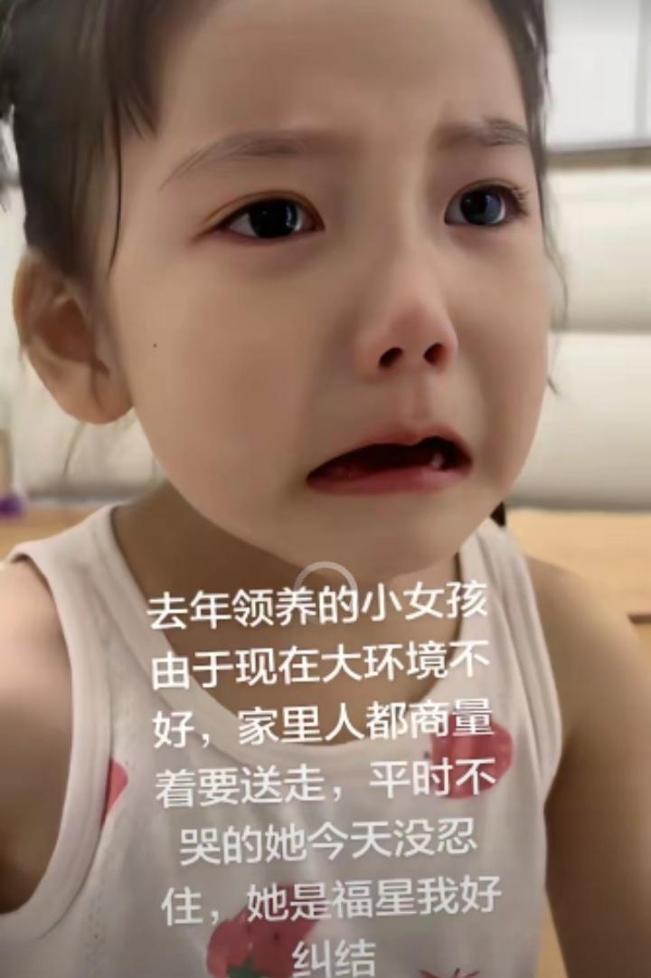 去年领养回来一个小女孩，现如今大环境不好，家里人商量打算把孩子送走。平日里很少哭