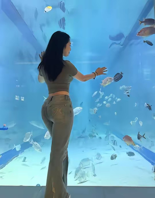好多没烦恼的漂亮鱼啊