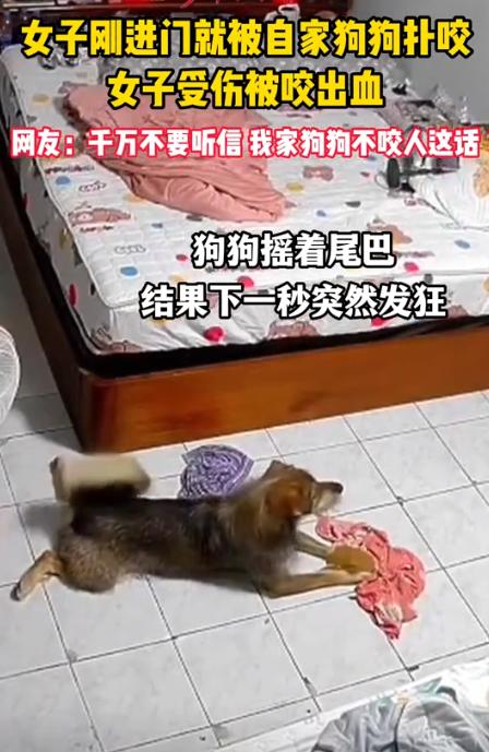 万万没有想到，近日，江苏，一女子进到屋里和爱犬打招呼，但上一秒狗子见女子后还摆尾