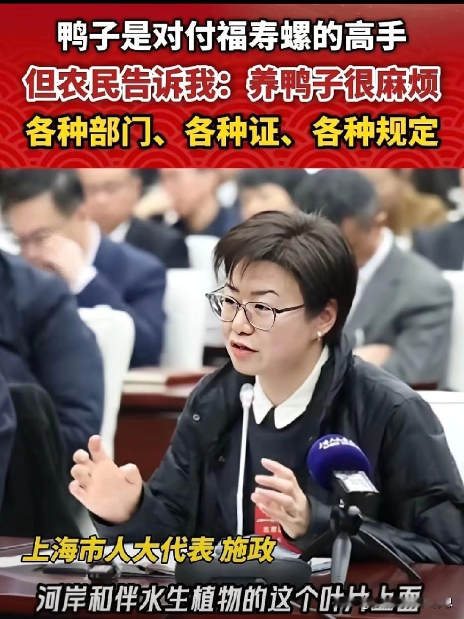 上海人大代表在两会中说“养鸭子可以防治福寿螺”，但是可行性有多大？1.