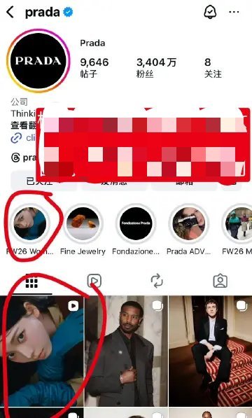 还在吹哈哈哈哈人家外网宣发从未带过你幂哈哈哈