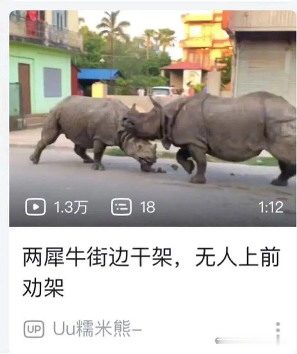 给这俩劝架，只能找大象了！
