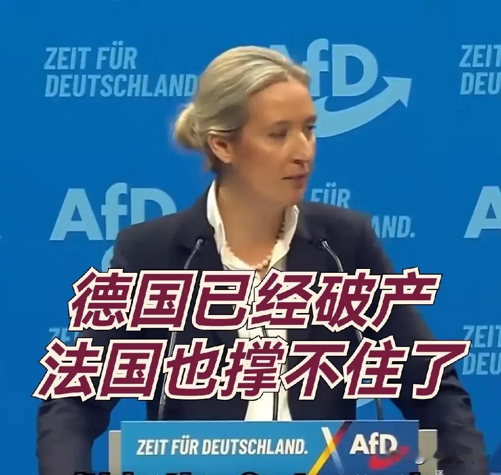 德国已经破产，法国也快完了。到底谁要为这些烂摊子主要国家买单呢？上面这几句