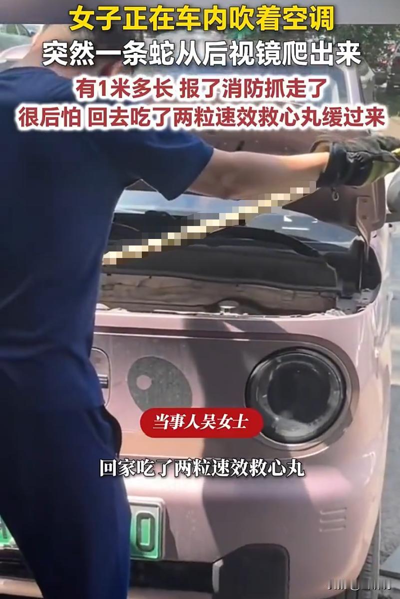 辽宁本溪，一女子在车里开着空调乘凉。全程安安静静，她原本十分放松，结果余光扫到后