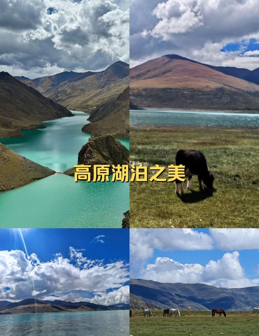 🌄西藏羊雍拉措｜被雪山湖泊宠坏的「人间净土」蓝绿湖水像块碎钻，撞进棕褐山脉