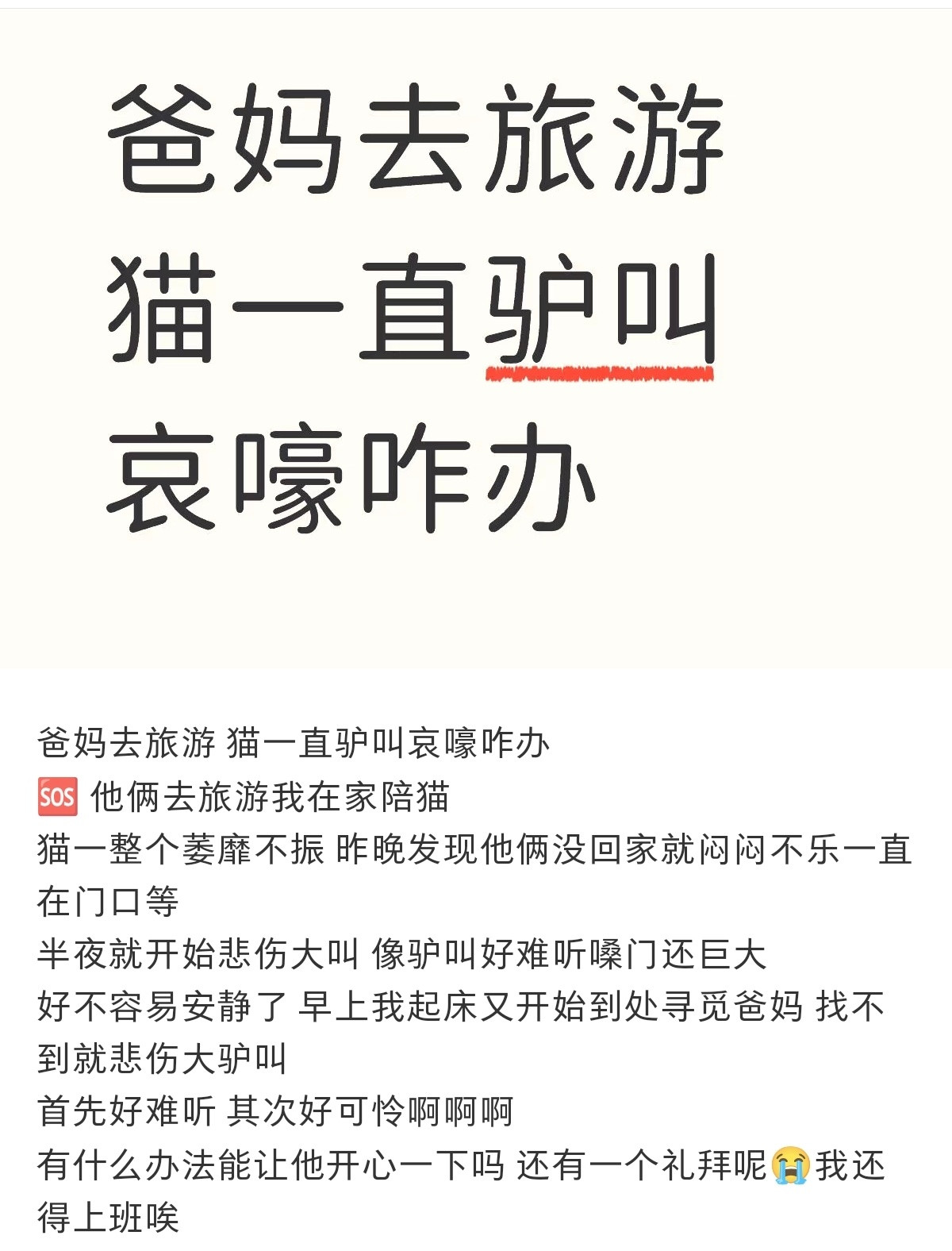 养宠家庭，爸妈去旅游，留守家里照顾猫的我惨了[捂脸哭]​​​