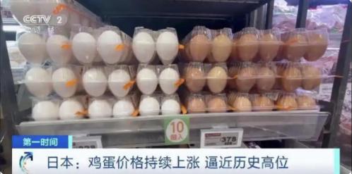 买不起，根本买不起，日本人快被饿死了！据日媒12月27日报道：现在日本一袋5公斤