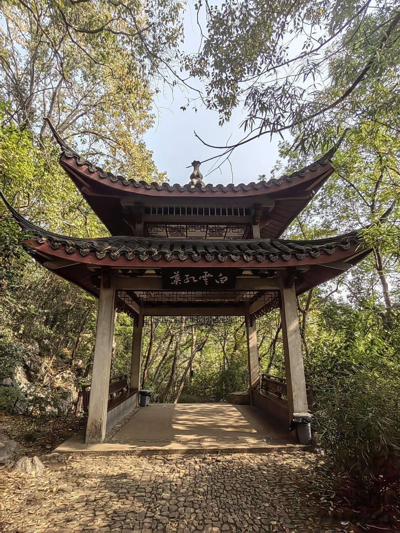 产生这么多姐弟恋的背景现在盛行姐弟恋，打开一众交友软件，大量