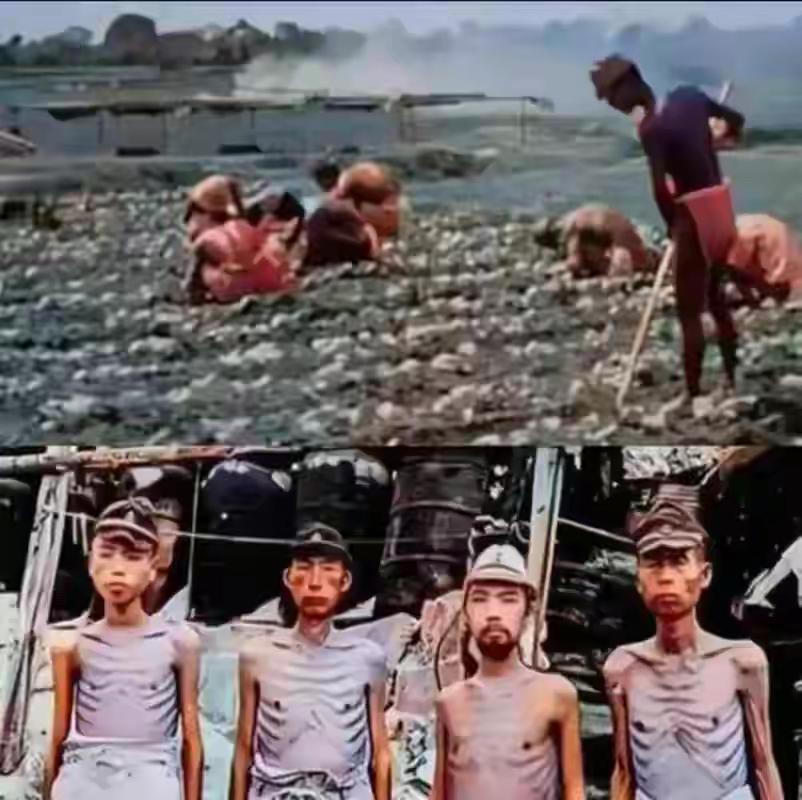 俄罗斯最能打日本人七寸。看看这些照片，是当年抗日战争时期前苏联俘虏60万日本战俘